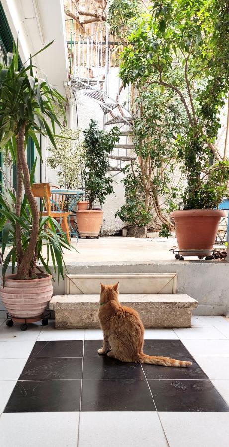 Вілла Athenian Yard Near Acropolis Екстер'єр фото